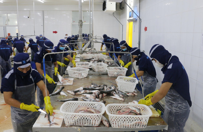 An Giang: Kỳ vọng vào xuất khẩu trong những tháng cuối năm ảnh 2