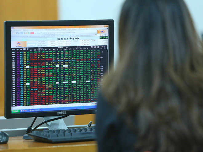 TKV thoái hết 2,3 triệu cổ phần tại Công ty Kim loại màu Nghệ Tĩnh ảnh 1