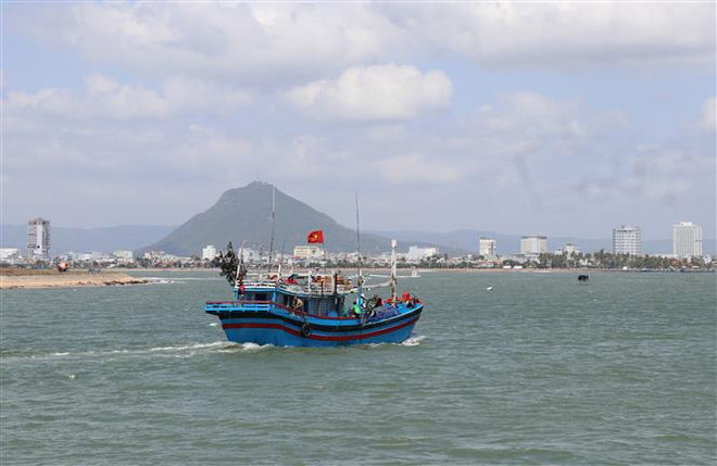 Chi phí tăng, ngư dân vẫn vượt khó vươn khơi bám biển ảnh 2