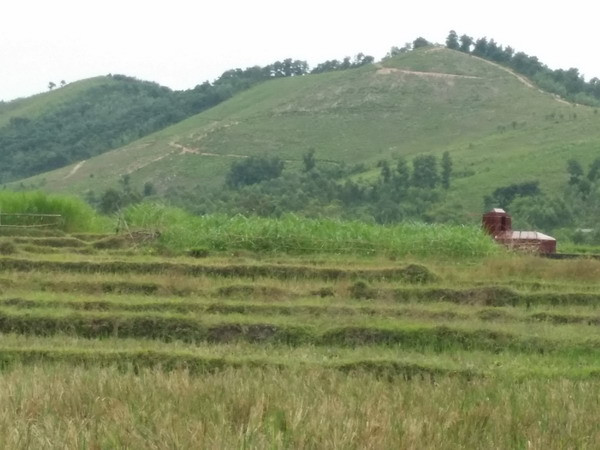 Vĩnh Phúc "đau đầu" về việc quy hoạch xây dựng nghĩa trang ảnh 1