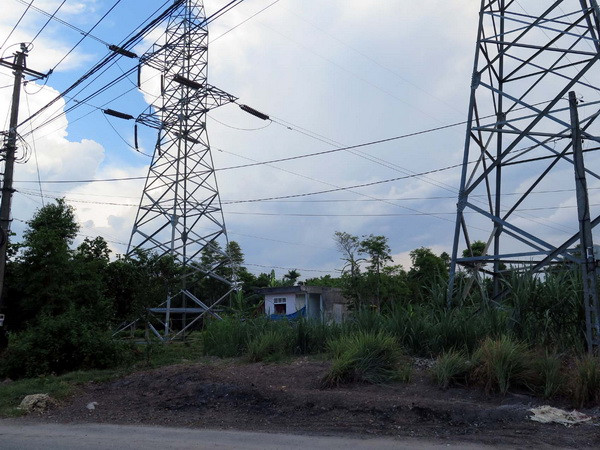 Mất mạng vì chặt cây gần hành lang điện cao thế ở Tây Ninh ảnh 1