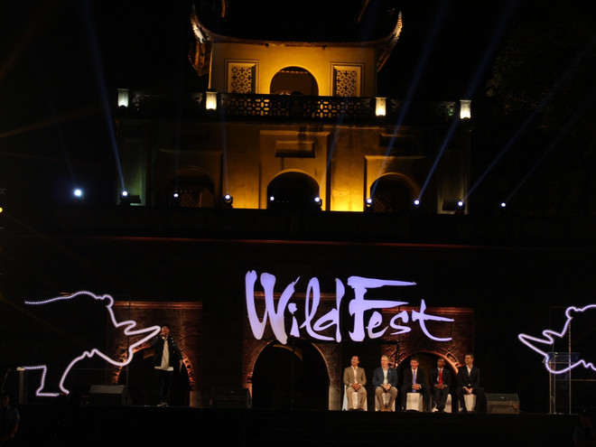 Hàng nghìn bạn trẻ tham dự lễ hội chiếu phim và ca nhạc WildFest ảnh 1