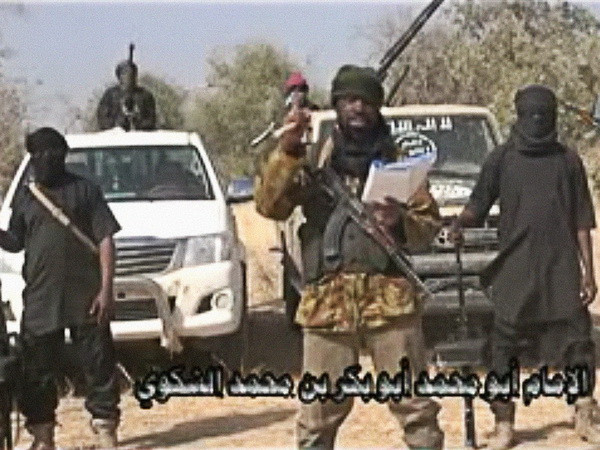 Quân đội Chad tiêu diệt 123 phần tử Boko Haram ở Cameroon ảnh 1