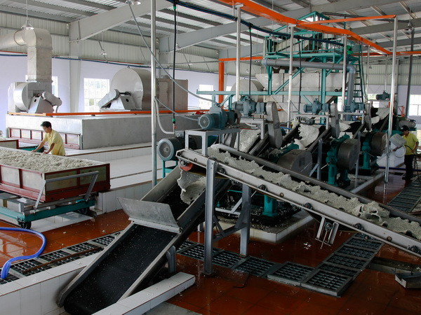 Sẽ có sàn giao dịch cho các nước sản xuất cao su Đông Nam Á ảnh 1