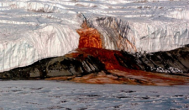 Giải mã bí ẩn về "Thác Máu" tại Nam Cực sau hàng trăm năm ảnh 1