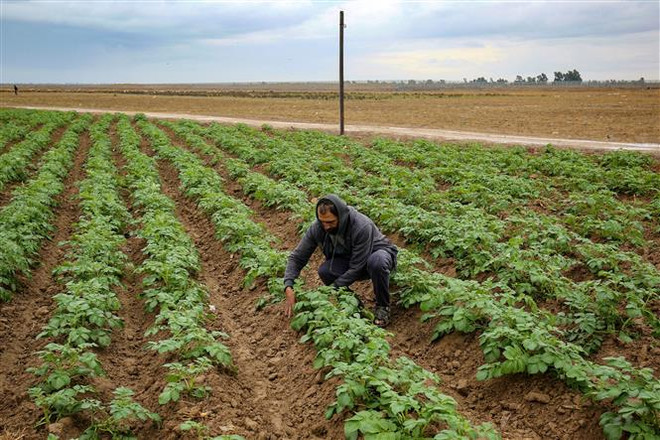 Israel, Palestine hợp tác chuyển nước tới thung lũng Jordan ảnh 1