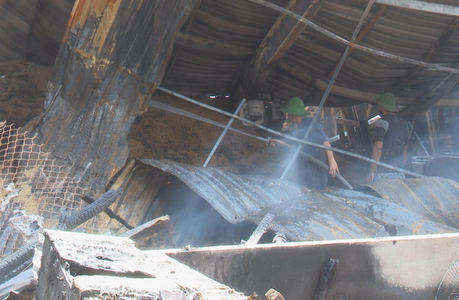 Đồng Tháp: Hỏa hoạn tại nhà máy, một công nhân bỏng nặng ảnh 1