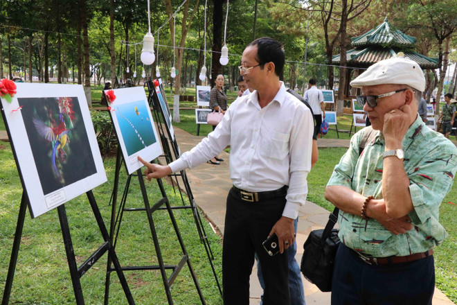 Khai mạc Liên hoan ảnh nghệ thuật khu vực Bắc Trung Bộ lần thứ 26 ảnh 1