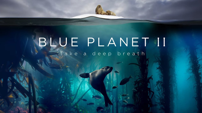 Loạt phim tài liệu 'Blue Planet II' giành giải thưởng Chatham House ảnh 1