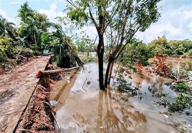 Một điểm sạt lở dài hơn 40m trên kênh Thạnh Đông thuộc khu vực Khánh Hưng, phường Phú Thứ, quận Cái Răng. (Ảnh: Thanh Liêm/TTXVN) Cần Thơ: Chủ tịch Quốc hội tiếp xúc cử tri tại quận Cái Răng và Ô Môn ảnh 1