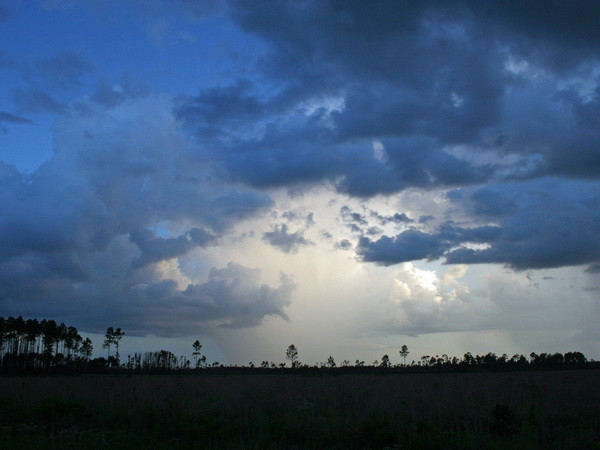 Hiện tượng El Nino xuất hiện trở lại yếu hơn với dự đoán ảnh 1