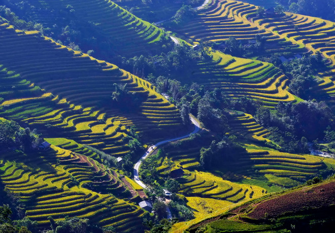 Không bị ảnh hưởng bão Koppu, cả 3 miền đều có thời tiết đẹp ảnh 1