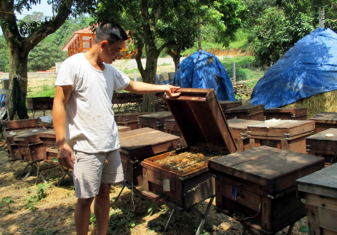 Việt Nam nỗ lực thực hiện các biện pháp giảm nghèo bền vững ảnh 2