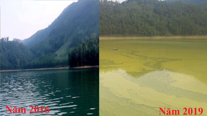 ‘Viên ngọc xanh’ phía sườn Tây Tam Đảo ô nhiễm nặng, bốc mùi tanh nồng ảnh 1