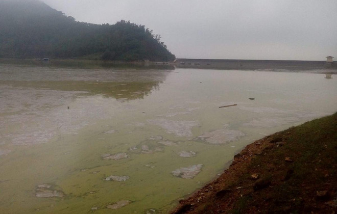 ‘Viên ngọc xanh’ phía sườn Tây Tam Đảo ô nhiễm nặng, bốc mùi tanh nồng ảnh 4
