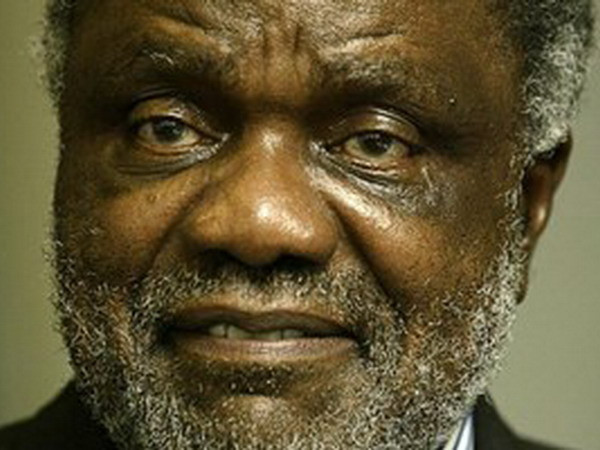 Tăng cường hợp tác song phương Việt Nam-Namibia ảnh 1