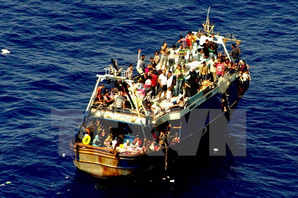 Italy bắt 15 nghi phạm Hồi giáo giết hại 12 người nhập cư ảnh 1