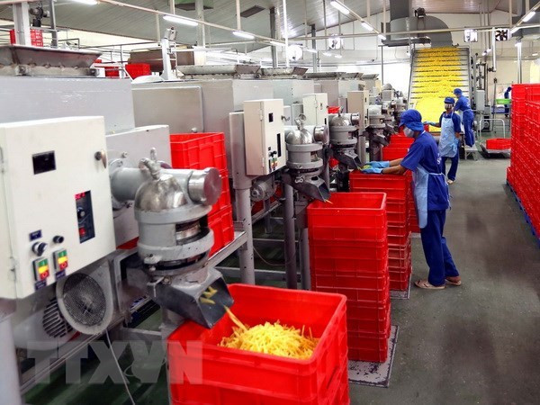 Đóng gói sản phẩm mì tại Công ty Cổ phần thực phẩm Safoco (thuộc Vinafood2). (Ảnh: Vũ Sinh/TTXVN) Truy tố nguyên Tổng Giám đốc Tổng Công ty Lương thực miền Nam ảnh 1