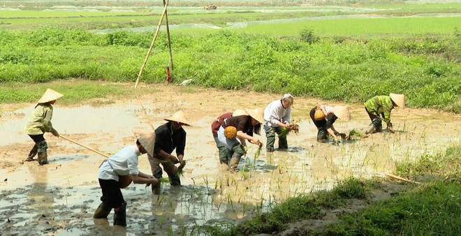 ttxvn du lich Ninh Binh - Muong tour2.jpg