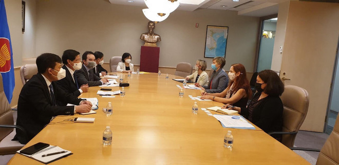 Việt Nam-Mỹ hợp tác kiểm soát khai thác, thương mại gỗ bất hợp pháp ảnh 1