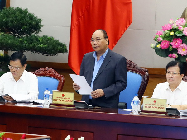 "Cây gỗ chứ có phải cây kim đâu mà sao không bị phát hiện?" ảnh 1