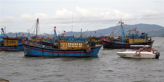 Tàu cá của ngư dân đã vào cảng cá Dân Phước (thị xã Sông Cầu) tránh báo. (Ảnh: Xuân Triệu/TTXVN) Các địa phương triển khai công tác phòng, chống, ứng phó bão số 9 ảnh 1