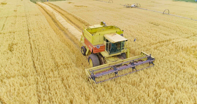 Thực phẩm bổ dưỡng Nutrilite Protein-Danh hiệu bán chạy số 1 thế giới ảnh 1