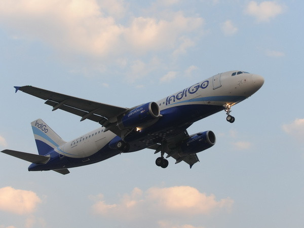 Việt Nam-Ấn Độ thúc đẩy hợp tác về du lịch và hàng không ảnh 1