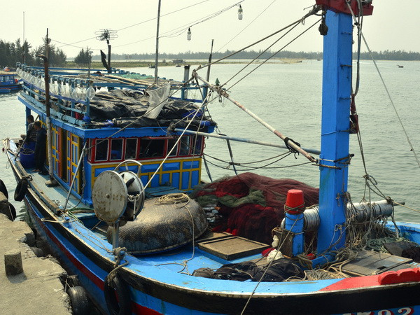 (Ảnh chỉ có tính minh họa: Đỗ Trưởng/TTXVN) Cứu sống một ngư dân nước ngoài trôi dạt trên biển nhiều ngày ảnh 1