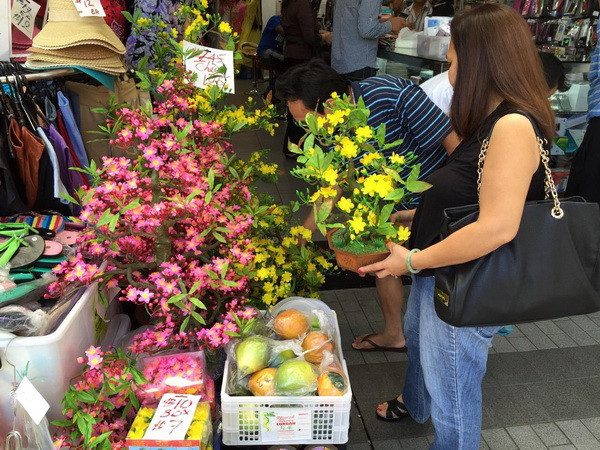 Nhộn nhịp chợ Việt tại Australia dịp đón Xuân Ất Mùi ảnh 3