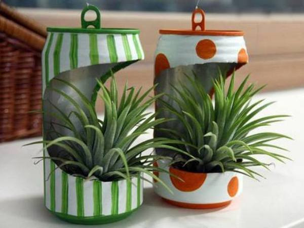 Gameshow đầu tiên và duy nhất trên truyền hình về chủ đề môi trường ảnh 1