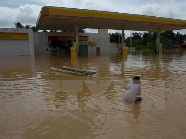 Lãnh đạo Việt Nam điện thăm hỏi về trận lũ lụt ở Đông Bắc Malaysia ảnh 1