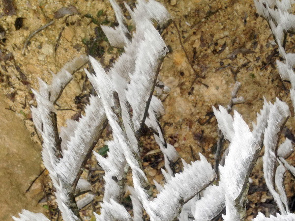 Không khí lạnh gây mưa rét ở miền Bắc, vùng núi xuống dưới 12 độ C ảnh 1