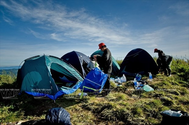 Lâm Đồng: Trải nghiệm Mùa hội cỏ hồng Langbiang tại huyện Lạc Dương ảnh 1