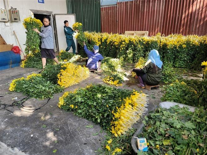 Bắc Bộ rét về đêm và sáng sớm, ngày nắng, nhiệt độ cao nhất 26-29 độ C ảnh 1