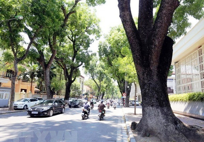 Ảnh chỉ có tính minh họa. (Nguồn: TTXVN) Thành lập các Tiểu ban phục vụ Đại hội đồng Quỹ Môi trường toàn cầu ảnh 1