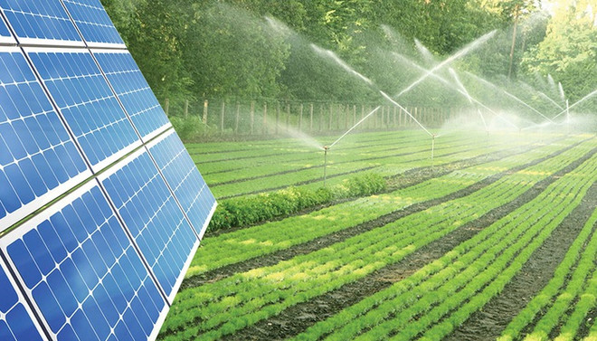 Nông-điện kết hợp giúp phát triển năng lượng tái tạo bền vững ở ĐBSCL ảnh 1