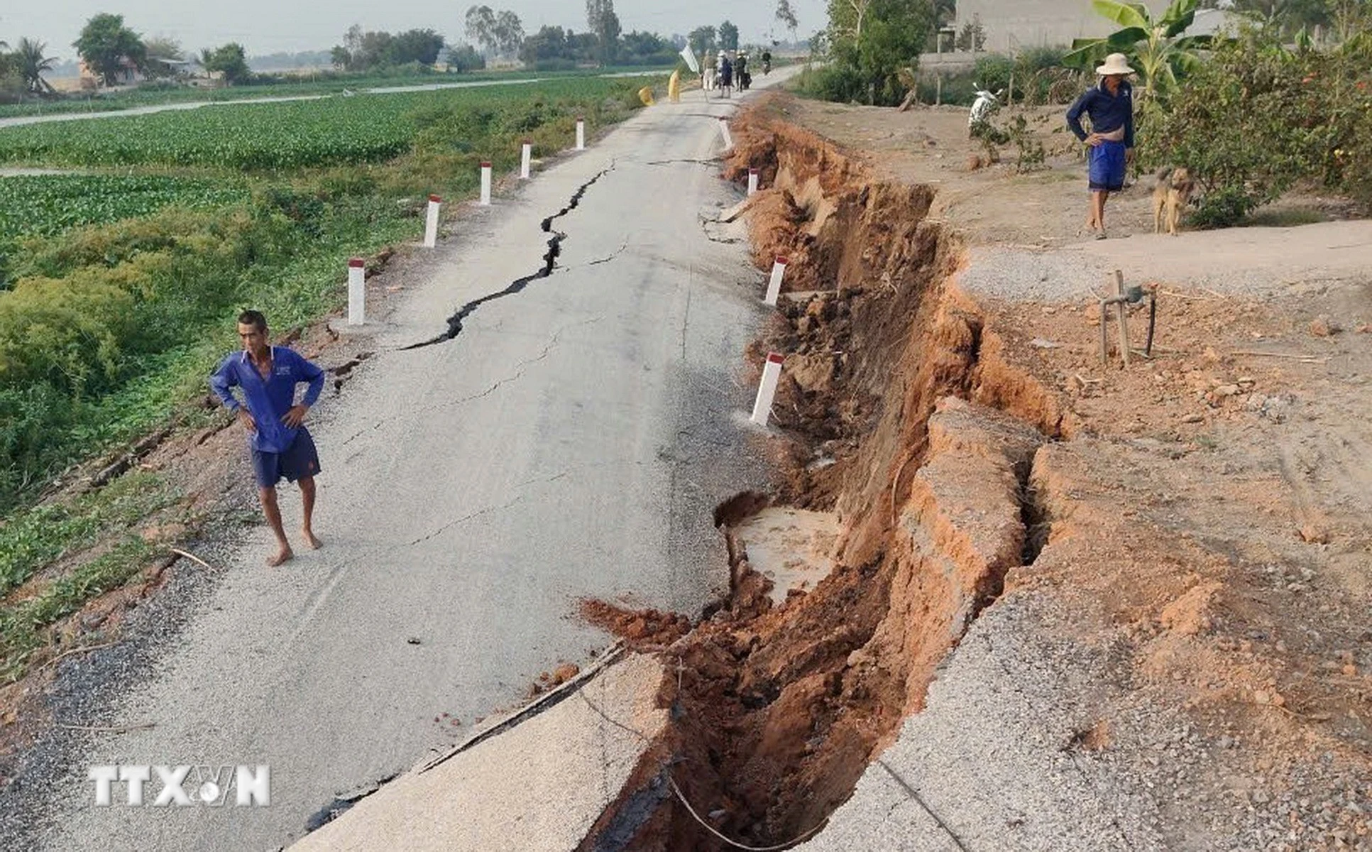 Tây Ninh: Tuyến đê ven sông Lò Gạch bị sạt lở nghiêm trọng, nguy cơ cao