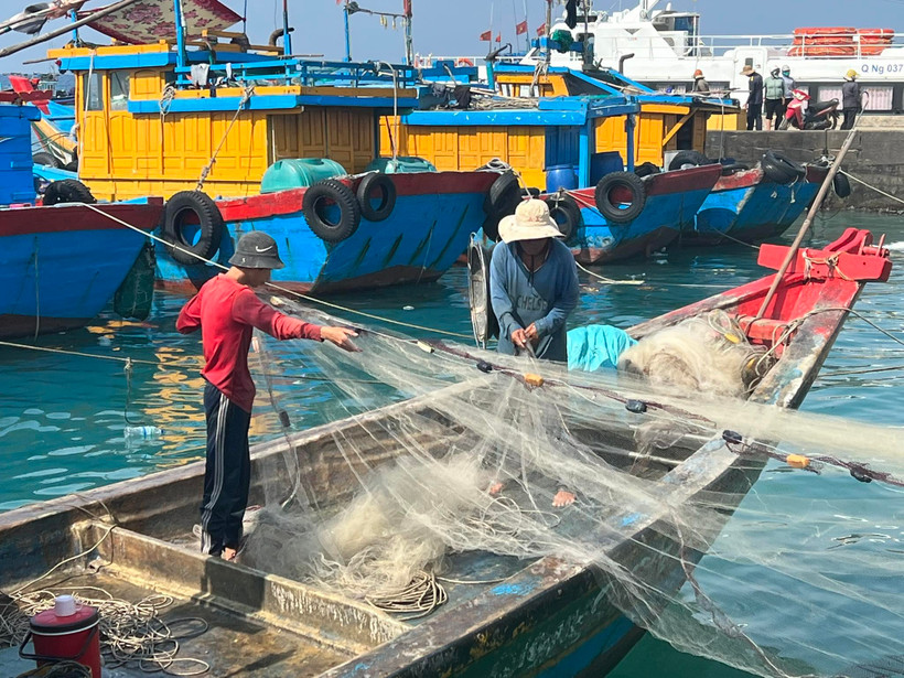 Việt Nam đang nỗ lực phát triển ngành nuôi trồng và khai thác hải sản bền vững. (Ảnh: PV/Vietnam+)