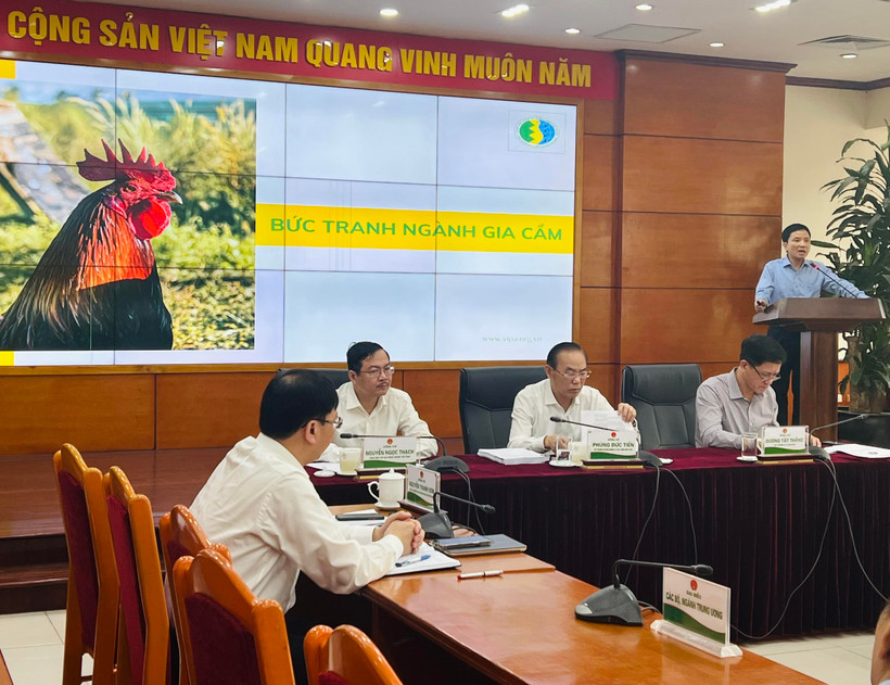 (Ảnh: PV/Vietnam+)