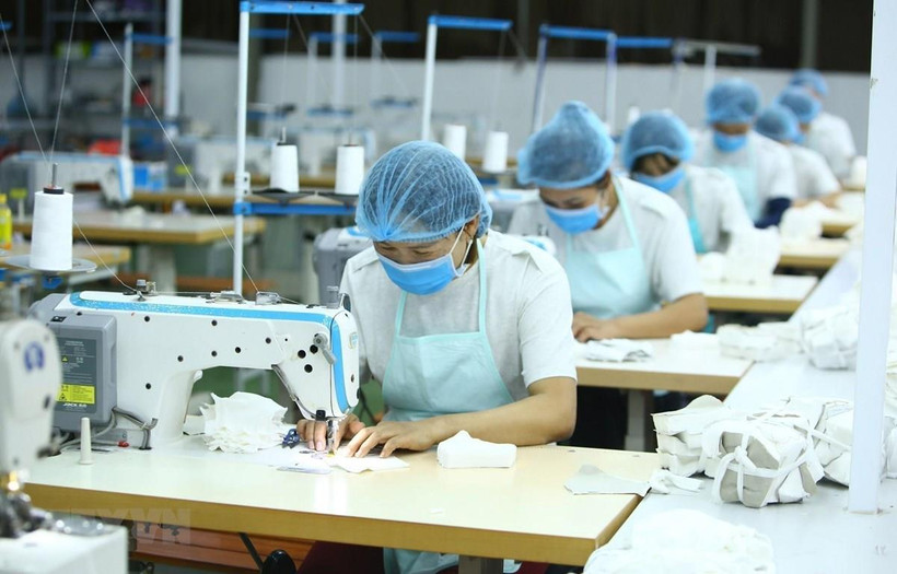 (Ảnh minh họa: Anh Tuấn/TTXVN)
