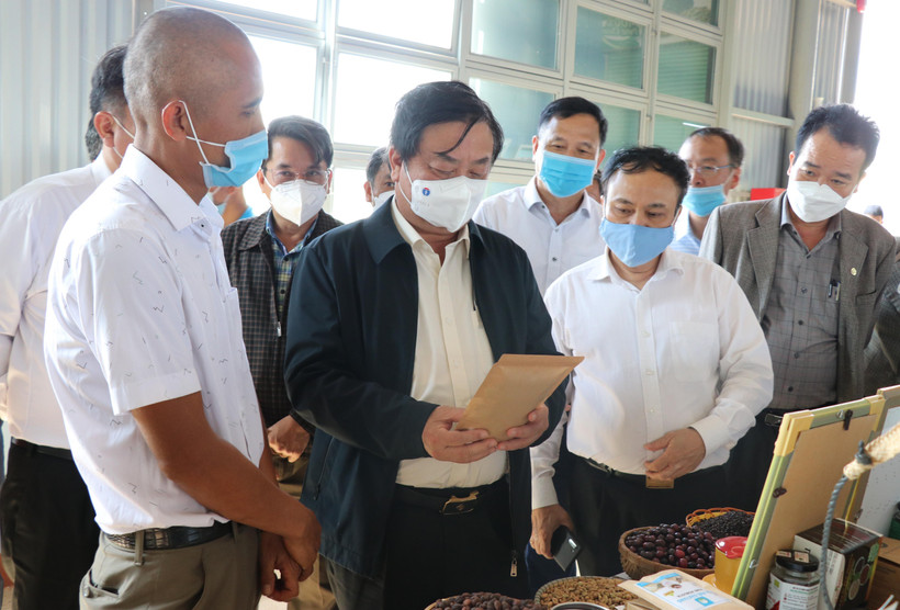 Bộ Trưởng Bộ Nông nghiệp và Phát triển nông thôn Lê Minh Hoan tham quan các gian hàng sản phẩm nông sản địa phương tại Gia Lai. (Ảnh: Hồng Điệp/TTXVN)