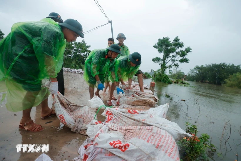 Cán bộ, chiến sỹ Trung đoàn 102 hỗ trợ người dân đắp bao tải đất gia cố đê sông Tích trong đợt bão số 3. (Ảnh: Minh Quyết/TTXVN)