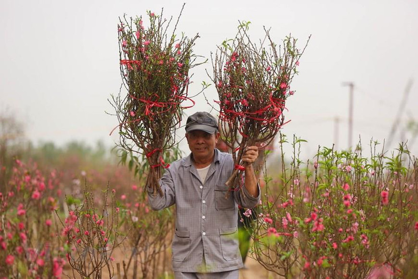 (Ảnh minh họa: Minh Sơn/Vietnam+)