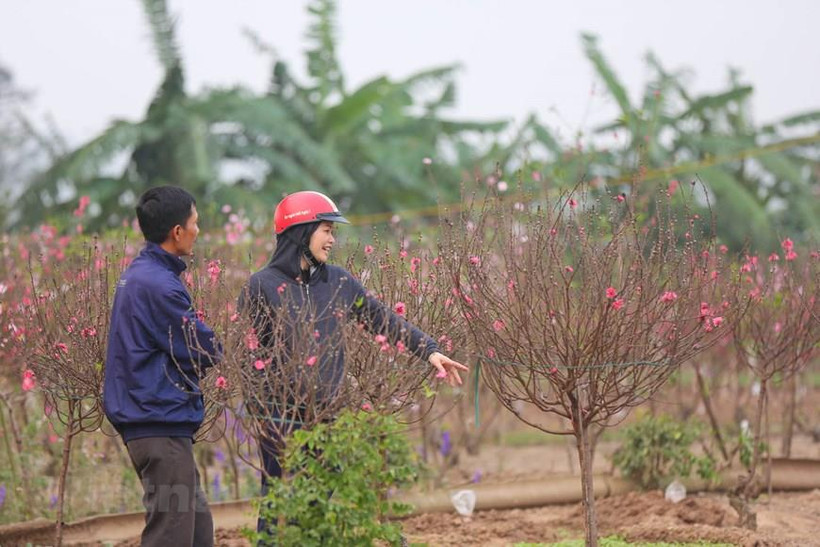 (Ảnh minh hoạ: PV/Vietnam+)