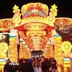 Trung Quốc: Rực rỡ lễ hội đèn lồng ở Nam Kinh