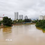 Mực nước sông Cầu đoạn chảy qua khu vực trung tâm tỉnh Thái Nguyên sáng 10/7/2026. (Ảnh: Hoàng Nguyên/TTXVN)