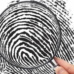 Lá dứa phế thải trở thành giải pháp xử lý ô nhiễm và điều tra vân tay. (Ảnh: Internet)