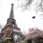 Tháp Eiffel tại thủ đô Paris, Pháp. Ảnh: THX/TTXVN