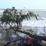 Sạt lở có thể “nuốt chửng” bãi biển Mỹ Khê